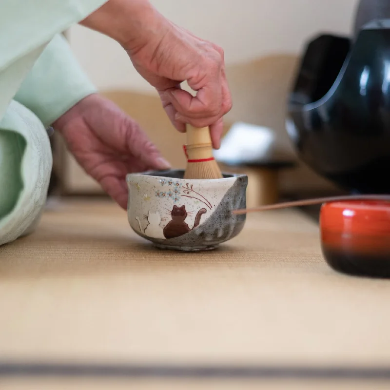 kids’ dinnerware set with animal prints-Atelier Yu Cats In Sunny Spot Kutani Matcha Bowl Chawan