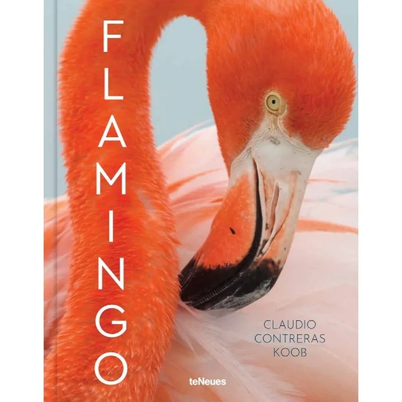 Simple tall vases for living room floral arrangements -Flamingo by Claudio Contreras Koob