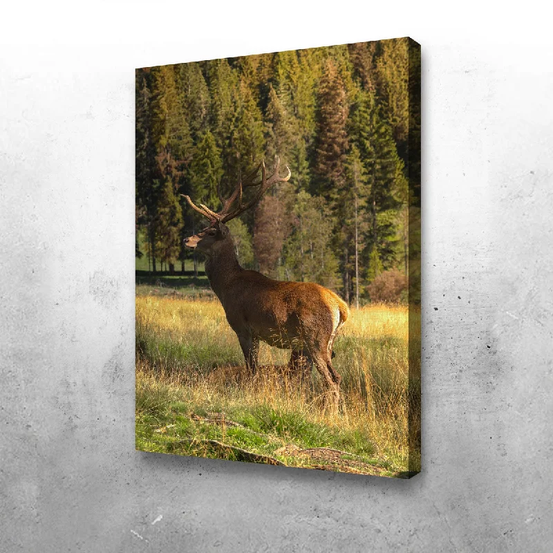 nature inspired abstract canvas prints-Deer