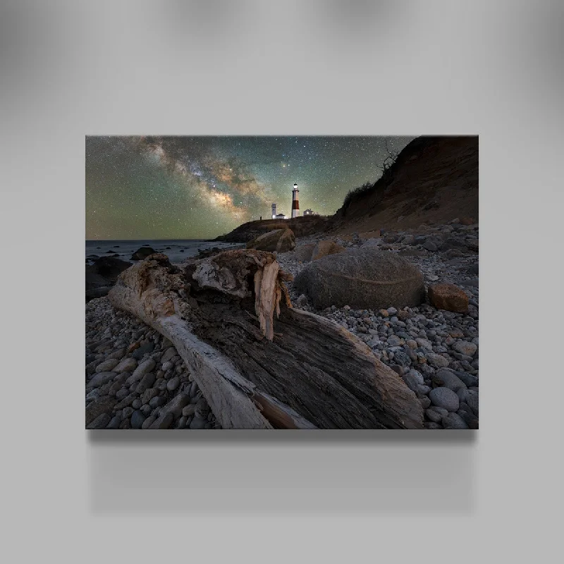 artistic coastal wall paintings-Montauk NY Driftwood Beach