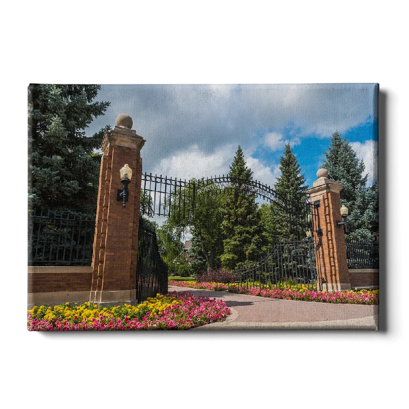 oversized floral paintings for living room-North Dakota State Bison - North Dakota State University Gates