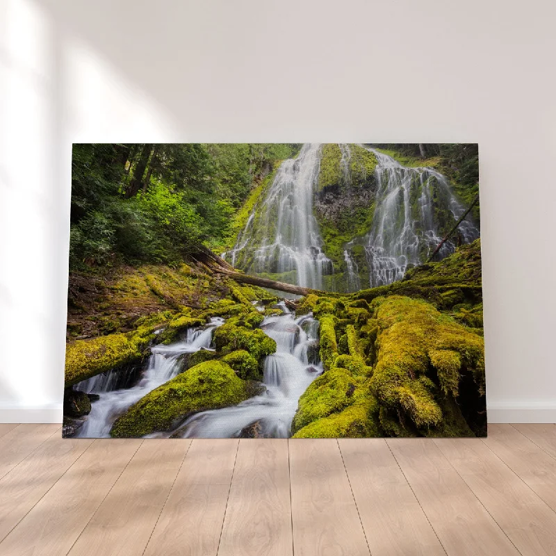 large modern botanical paintings-Proxy Falls