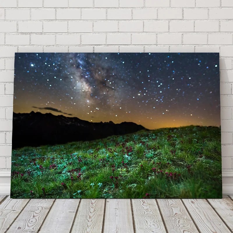 colorful coastal wall decor-Star Studded Edelweiss and Joubarbe