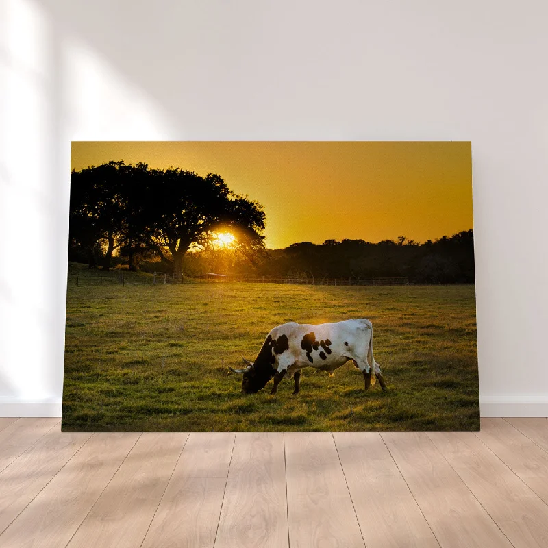 geometric abstract prints for home-Texas Longhorn at Sunset